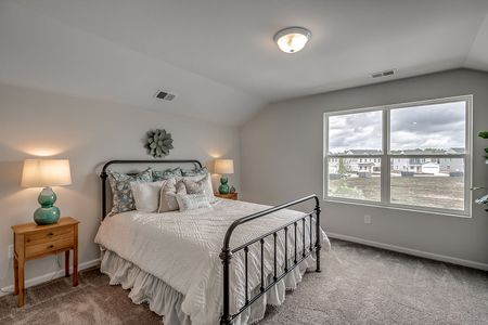 Petterson Meadows by Mungo Homes in Summerville - photo 106 106