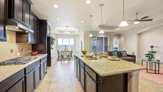Royal Crest by New Leaf Homes in San Antonio - photo 14 14