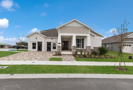 Palms at Windermere by Dream Finders Homes in Windermere - photo 2 2