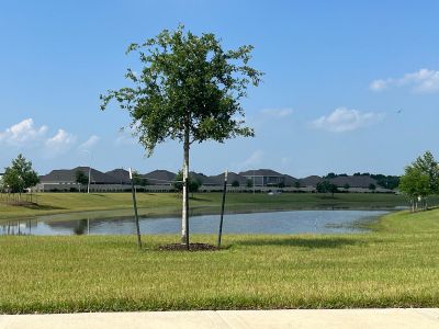 Sterling Point at Baytown Crossings: Wildflower IV Collection by Lennar in Baytown - photo 37 37