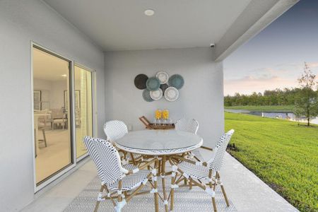Aden South at Westview by Taylor Morrison in Kissimmee - photo 68 68
