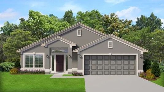 Wyld Palms by Adams Homes in 6442 East Turner Camp Road, Inverness, FL 34453 - photo