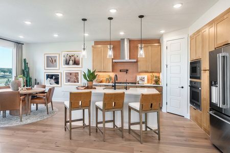 Terrace Collection at Lariat by Tri Pointe Homes in Liberty Hill - photo 35 35