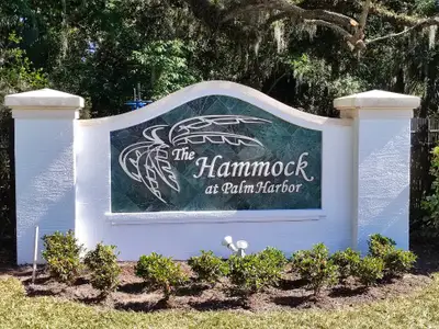 The Hammocks at Palm Harbor by Dream Finders Homes in Palm Coast - photo 6 6