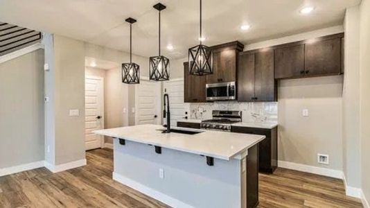 Stonegate Townhomes by Lokal Homes in Parker - photo 13 13