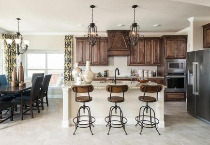 Redden Farms by Antares Homes in Midlothian - photo 22 22