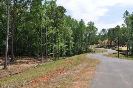 Montview Estates by Bercher Homes in Powder Springs - photo 14 14