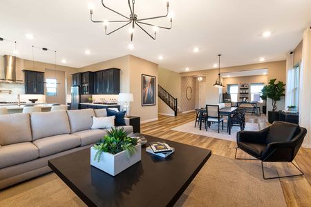 Grove at Madera by Tri Pointe Homes in Queen Creek - photo 6 6