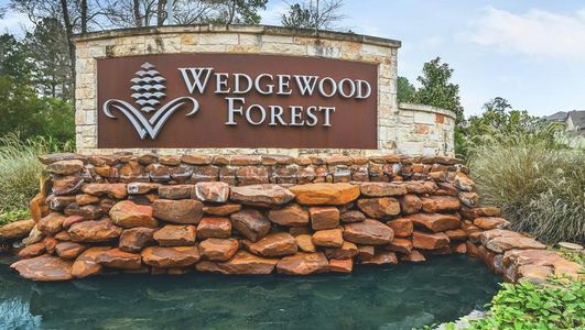 Wedgewood Forest by LGI Homes in Conroe - photo