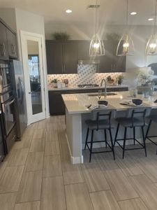 Eminence at Alamar by William Ryan Homes in Avondale - photo 74 74