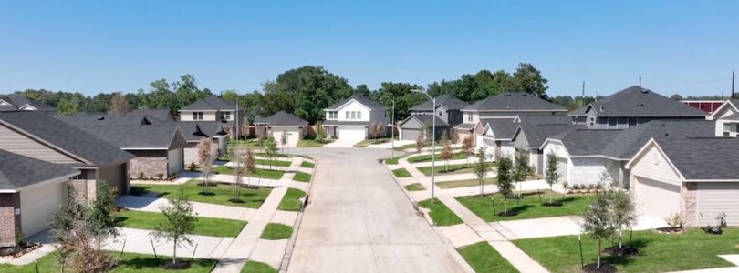 Windrose Green by Lennar in Angleton - photo 0 0