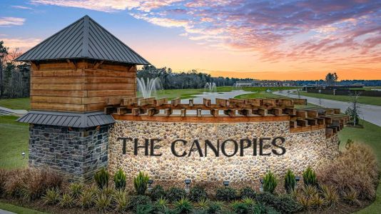 The Canopies by Smith Douglas Homes in Splendora - photo