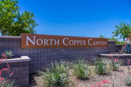 The Villas Collection at North Copper Canyon by Century Communities in Surprise - photo 1 1