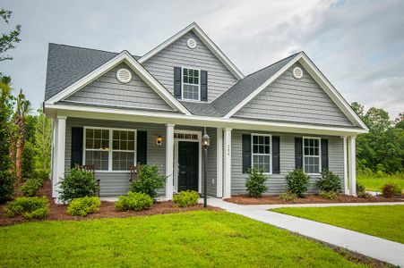 High Point at Foxbank by Dream Finders Homes in Moncks Corner - photo