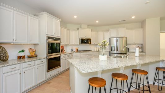 Falls Cove at Lake Norman by Lennar in Troutman - photo 6 6
