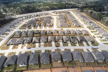 Pinewood at Grand Texas by M/I Homes in New Caney - photo 46 46