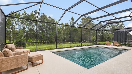 River Landing by Taylor Morrison in Wesley Chapel - photo 33 33