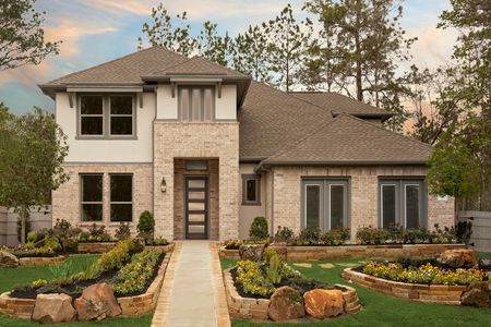 ARTAVIA 55' by Coventry Homes in Conroe - photo 7 7