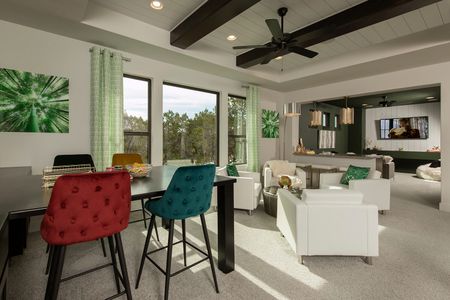 The Hollows on Lake Travis 85' by Coventry Homes in Jonestown - photo 20 20