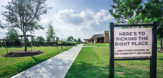 Elyson by Chesmar Homes in Katy - photo 7 7