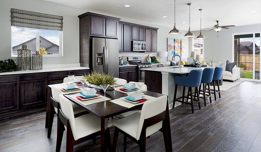 Seasons at Entrada Del Oro by Richmond American Homes in Gold Canyon - photo 14 14