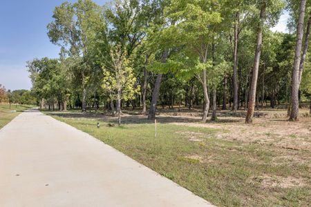 Lakes of River Trails by David Weekley Homes in Fort Worth - photo 2