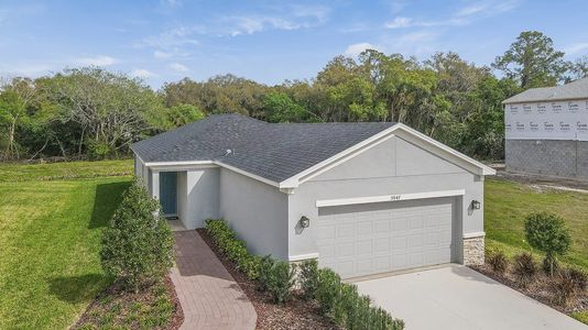 Eave's Bend at Artisan Lakes by Taylor Morrison in Palmetto - photo 13 13