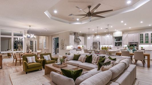 Esplanade at Artisan Lakes by Taylor Morrison in Palmetto - photo 102 102