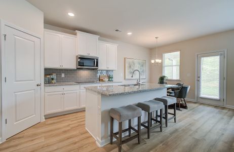 Alcovy Village by Rockhaven Homes in Lawrenceville - photo 21 21