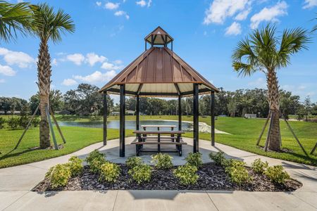 Harmony at Lake Eloise by D.R. Horton in Winter Haven - photo 4