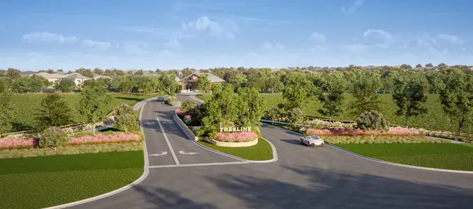 Treeline by Tri Pointe Homes in Justin, TX 76247 - photo