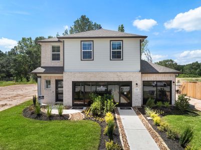 Caney Creek Place by Davidson Homes LLC in Conroe - photo