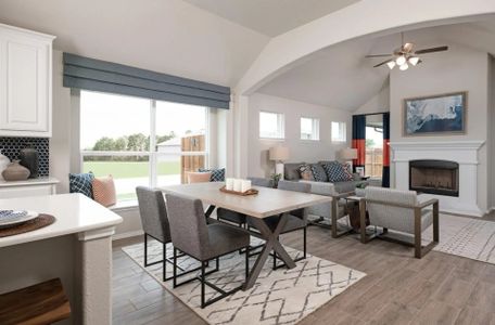 Woodland Springs by Antares Homes in Crowley - photo 11 11