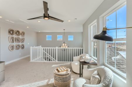 Mountain Brook by Dream Finders Homes in Longmont - photo 8
