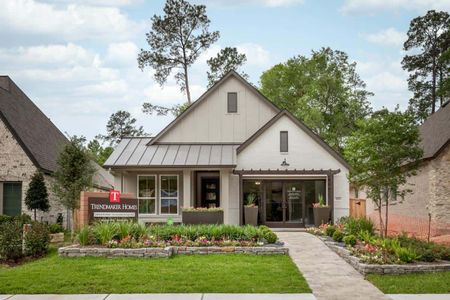 Grand Central Park by Tri Pointe Homes in Conroe - photo