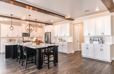 Vintner Reserve by Beazer Homes in Clermont - photo 5 5