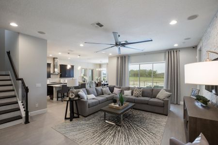 Palms at Windermere by Dream Finders Homes in Windermere - photo 16 16