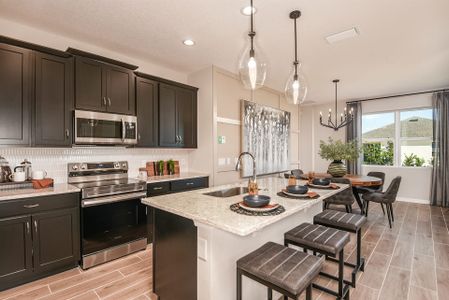 Marion Ridge by Landsea Homes in Haines City - photo 31 31
