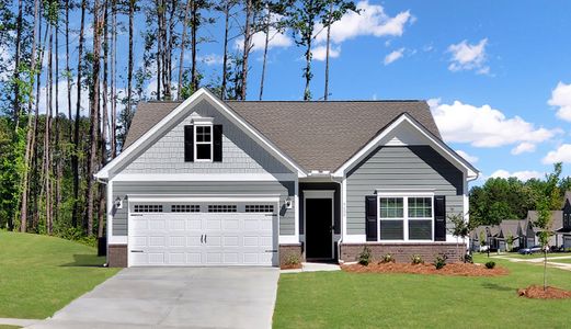 Tobacco Road by Smith Douglas Homes in Angier - photo 2