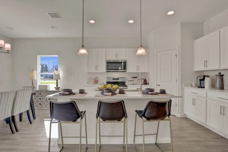 Eden Hills by Dream Finders Homes in Lake Alfred - photo 20 20
