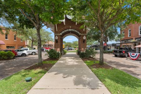 Palms at Windermere by Dream Finders Homes in Windermere - photo 24 24