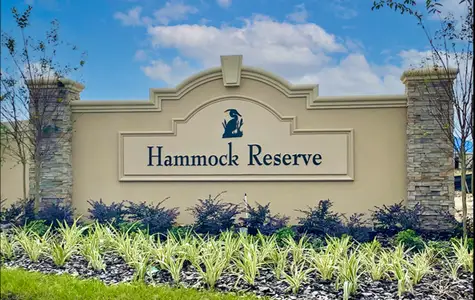 Hammock Reserve by Maronda Homes in Haines City - photo 23 23