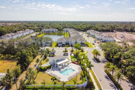 Sienna Park at University by M/I Homes in Sarasota - photo 26 26