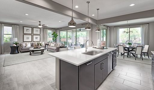 Estates at Asante by Richmond American Homes in Surprise - photo 16 16
