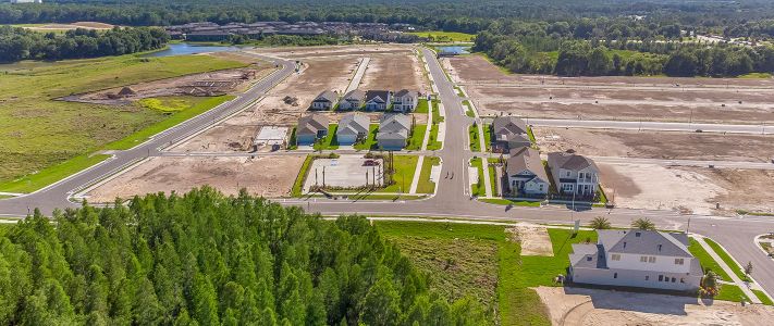 Persimmon Park by ICI Homes in Wesley Chapel - photo 0 0