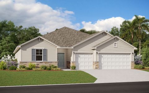 Holly Landing at SilverLeaf by Dream Finders Homes in Saint Augustine - photo 8 8