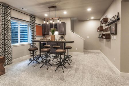 Mosaic Story Collection - Single Family Homes by Hartford Homes in Fort Collins - photo 16 16