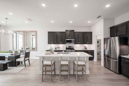 Jubilee 50′ by Tri Pointe Homes in Hockley - photo 43 43