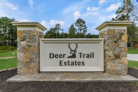 Deer Trail Estates by DH Homes in Conroe - photo 0 0