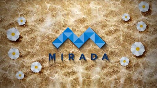 Mirada Premiere Series by Maronda Homes in San Antonio - photo 27 27